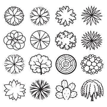 CAD Trees Top View Set &ndash; Landscape Design and Architectural Elements