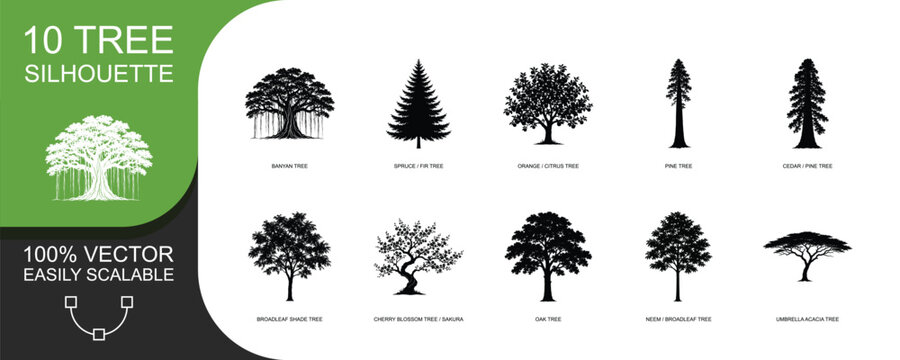 Ten tree silhouette collection featuring tropical and woodland species.