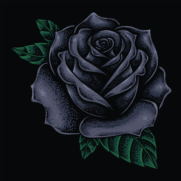 Black rose flower illustration