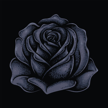 Rose flowers black