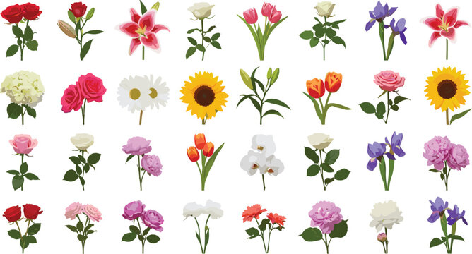 Beautiful assortment of assorted blooming flowers with green stems including roses sunflowers tulips lilies and peonies arranged in neat grid pattern isolated on white background