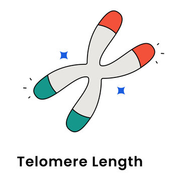 Telomere Length icon, Chromosome Concept for DNA Aging and Cellular Longevity, Genetic Science Symbol for Anti-Aging Research and Biological Clock icon