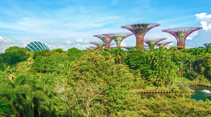 Singapore,2025-10-14 , Gardens by the Bay Supertree Grove and Cloud Forest Domes Over Lush Tropical Park in Singapore © Lichtwolke99