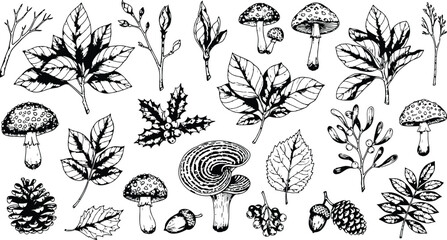Hand Drawn Forest Elements with Autumn Leaves and Mushrooms in Monochrome Sketch Style © Ishtiaq