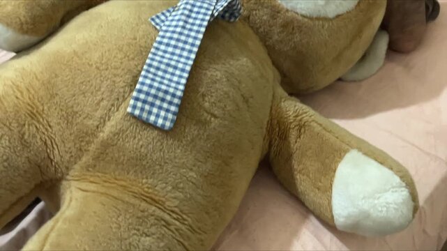 Teddy Bear as Transitional Object in Therapy for Depression, Anxiety, BPD, Bipolar Emotional Turmoil Recovery