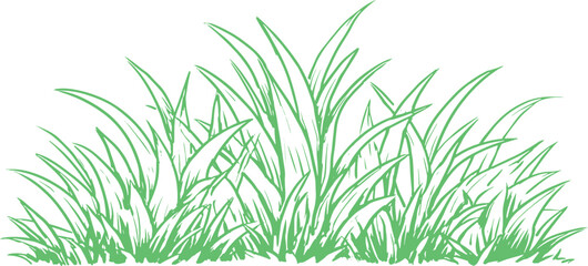 Fototapeta premium Dense green grass bush hand drawn botanical sketch vector illustration for natural spring backgrounds and landscape elements.
