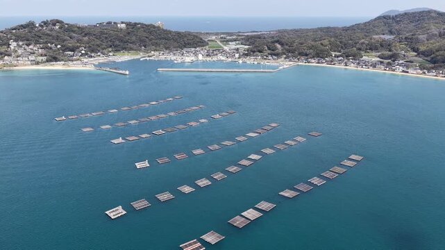 Aerial view of aquaculture rafts floating in the calm blue bay near the coastal town and lush hills of Itoshima Peninsula Itoshima, Fukuoka, Japan.