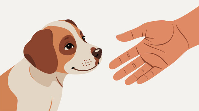A young brown and white puppy looks upward with curiosity towards a human hand reaching out in a gentle, friendly gesture on a solid background.
