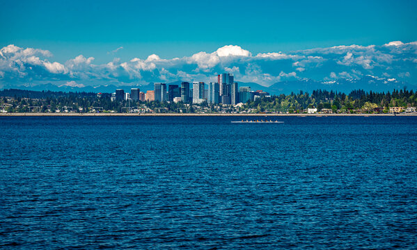 Rowers And Skyline