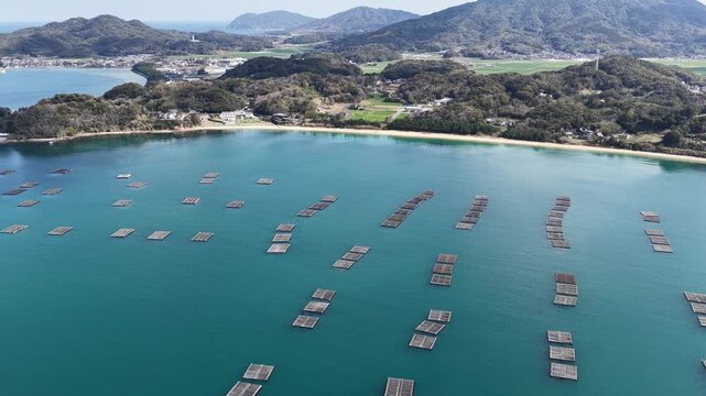 Aerial view of oyster farming rafts floating on turquoise water near the coastline of Itoshima Peninsula with green hills in the background Itoshima, Fukuoka, Japan.