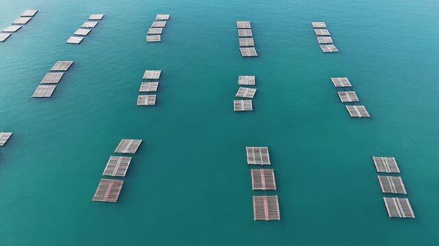 Aerial view of oyster farming rafts floating on the calm turquoise waters of the Itoshima Peninsula in Itoshima, Fukuoka, Japan.