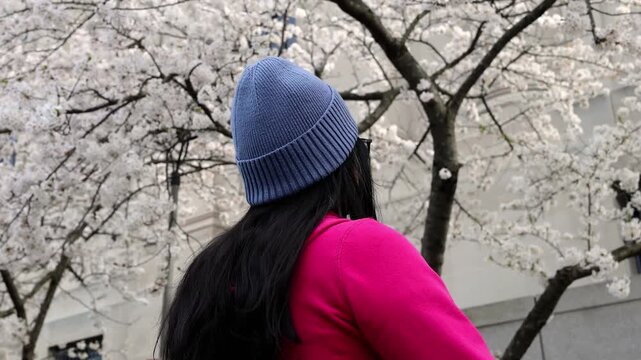 woman in woven knit winter hat looking at spring blooming cherry blossoms sign of season changing close up brunette young lady sweater springtime seasons change