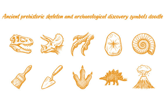 Ancient prehistoric skeleton and dinosaur fossil discovery sketch kit