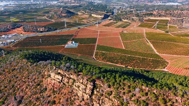 Wide panorama of citrus orchards and rocky cliff in Spain. High angle shot showing orange groves bordering a rocky ridge with a highway and distant mountains in Valencia region.