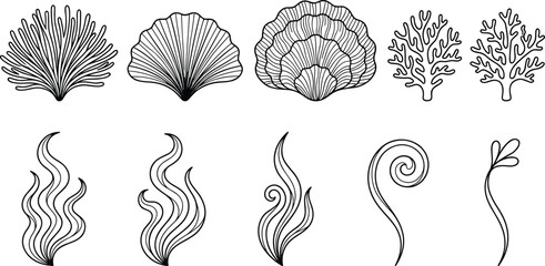Ornate Marine Life Line Art Set Featuring Detailed Sea Shells, Coral Reefs, and Kelp Seaweed Hand Drawn Icons for Summer and Aquatic Pattern Designs © Sabbir Studio