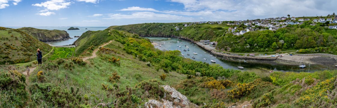 walkimg around Solva coastline and woods