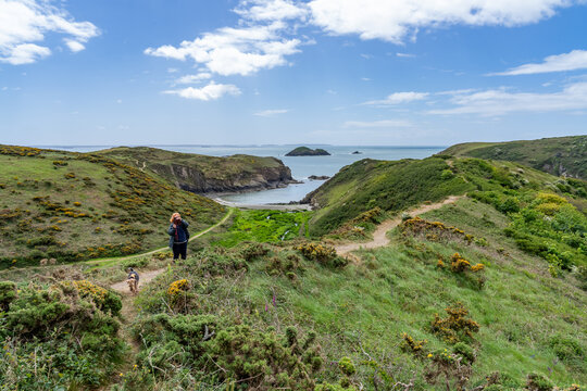 walkimg around Solva coastline and woods