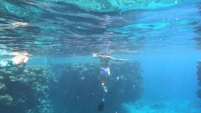 Woman swims underwater near coral reef. Sunlight filters through surface, creating shimmering patterns. She moves gracefully, exploring marine life. Coral structures frame her path, rich in detail
