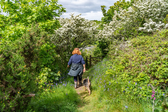 walkimg around Solva coastline and woods