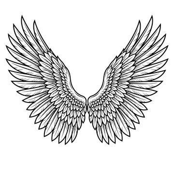 Owl's wings spread wide in flight against the night sky with moonlight
