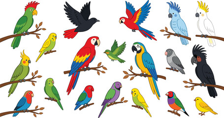 Cute Parrot and Tropical Bird Cartoon Character Vector Set with Macaw Cockatoo Budgerigar and Lovebird Species Perched on Branches and Flying for Jungle Nature Designs © MSTRazia
