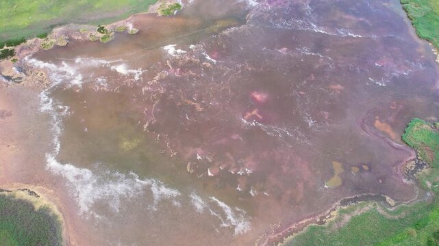 Aerial view of the pink salt lake with white mineral deposits and green reeds along the shore in Shabla, Dobrich Province, Bulgaria.
