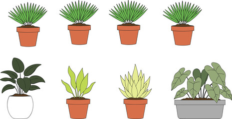 Fototapeta premium Indoor potted plant illustrations with diverse leaf styles and decorative vector design concepts