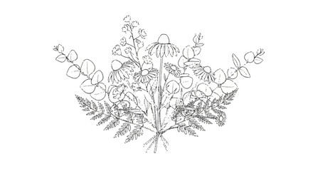Fototapeta premium Botanical Line Art Bouquet of Wildflowers and Ferns.