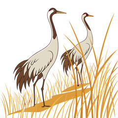 Fototapeta premium two cranes standing in tall grass vector illustration with a white background