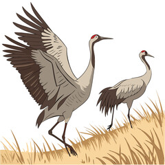 Fototapeta premium two sandhill cranes in a grassy field digital illustration with detailed feather textures