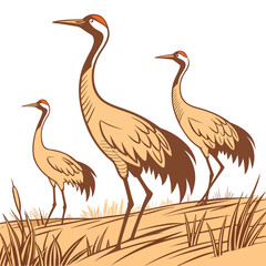 Fototapeta premium three cranes standing in a field stylized vector illustration with brown and beige tones