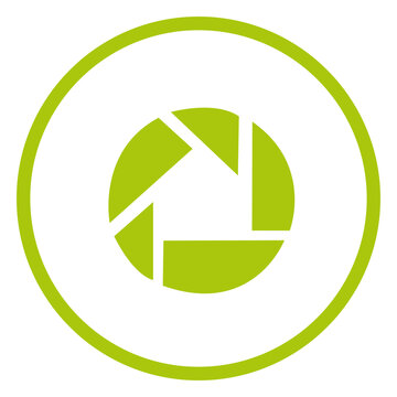 Picasa ring icon