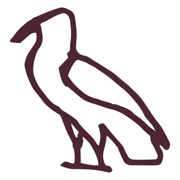 Egyptian volture hieroglyphics symbol