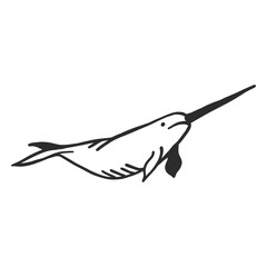 Narwhal tusk flipper tail doodle © Vexels