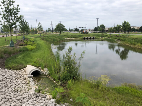 Stormwater retention pond with culvert pipe grassy banks young trees riprap stones and calm reflective water near suburban road showing drainage infrastructure and environmental management