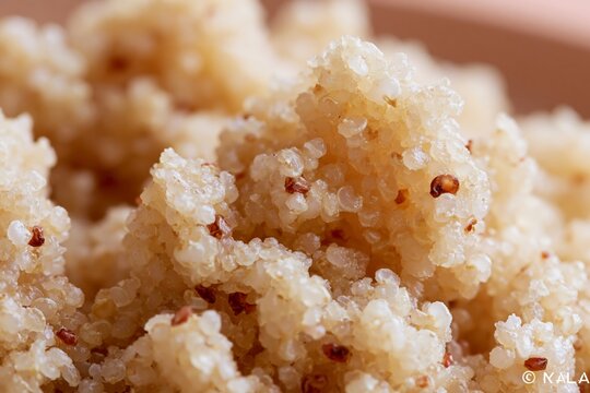 Extreme macro close-up of cooked quinoa showcasing its texture and individual grains filling the frame, highlighting the natural color variations and details