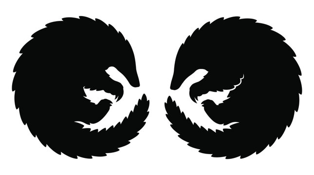 pangolin silhouettes curled up black and white graphic