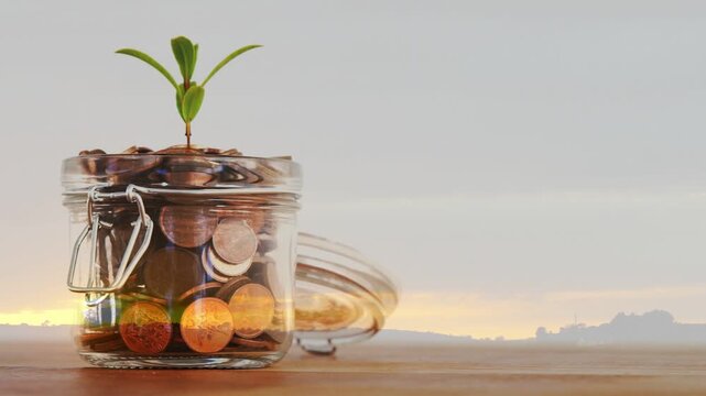 Camera sliding, jar of coins moving to center, lid tilting, sprout growing, sunrise showing savings