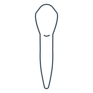 White incisor tooth figure