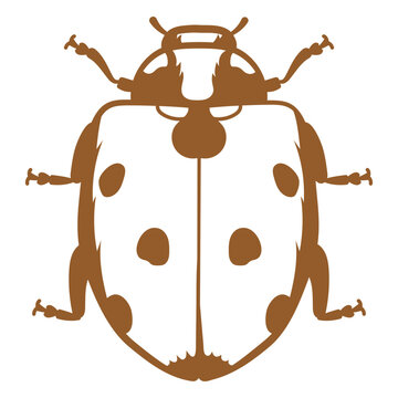 Beetle stroke design