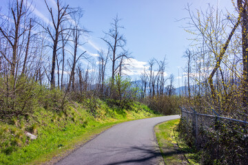 Obraz premium Winter On The Bear Creek Greenway