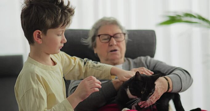 Kid and grandmother holding a restless cat