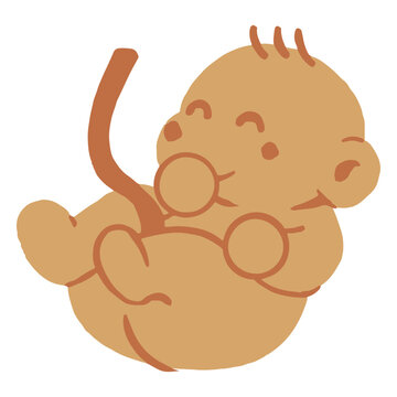 Newborn with a pacifier
