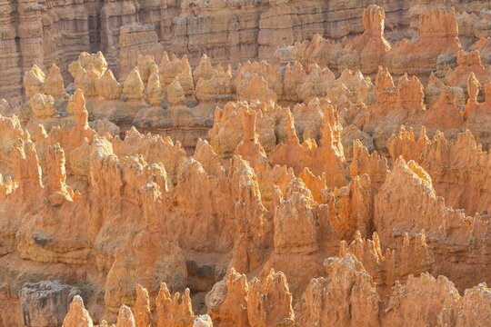 Colored rock formations, Hoodoos, rock needles, Bryce Canyon National Park, Utah, USA