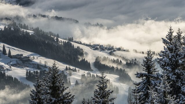Winter landscape in Brixental, conifers, snow and fog, Brixen im Thale, Tyrol, Austria