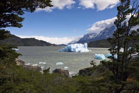 Icebergs in Logo Grey, Torres del Paine National Park, Patagonia, Chile, South America