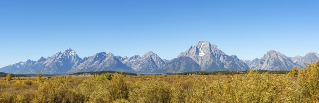 Mountain panorama with Mount Moran and Grand Teton peaks, Autumn landscape, yellow coloured aspens (Populus tremula) and bushes, Willow Flats Overlook, Teton Range mountain range, Grand Teton National Park, Wyoming, USA