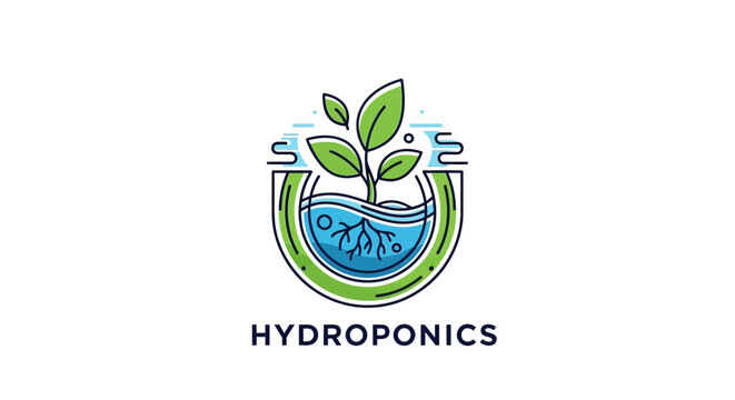 Hydroponics plant growing in water.