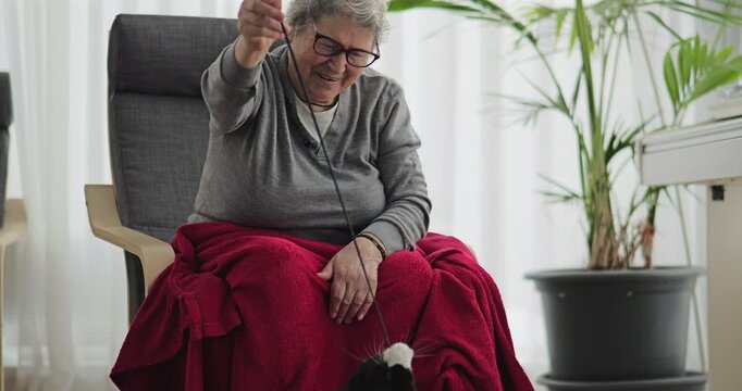 Elderly woman shows a threat to the cat for playing with it
