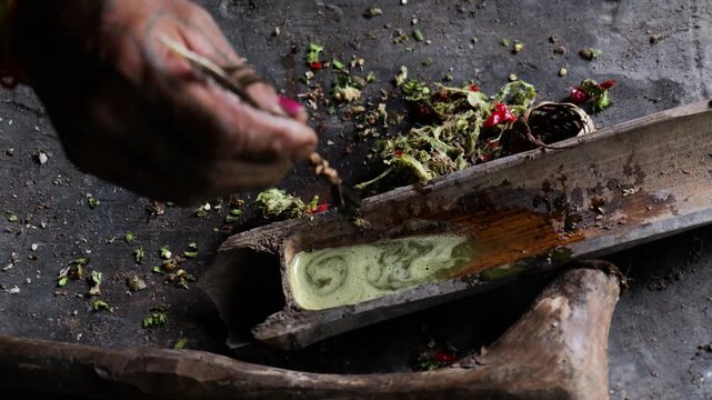 Poison arrows making process in Mentawai islands